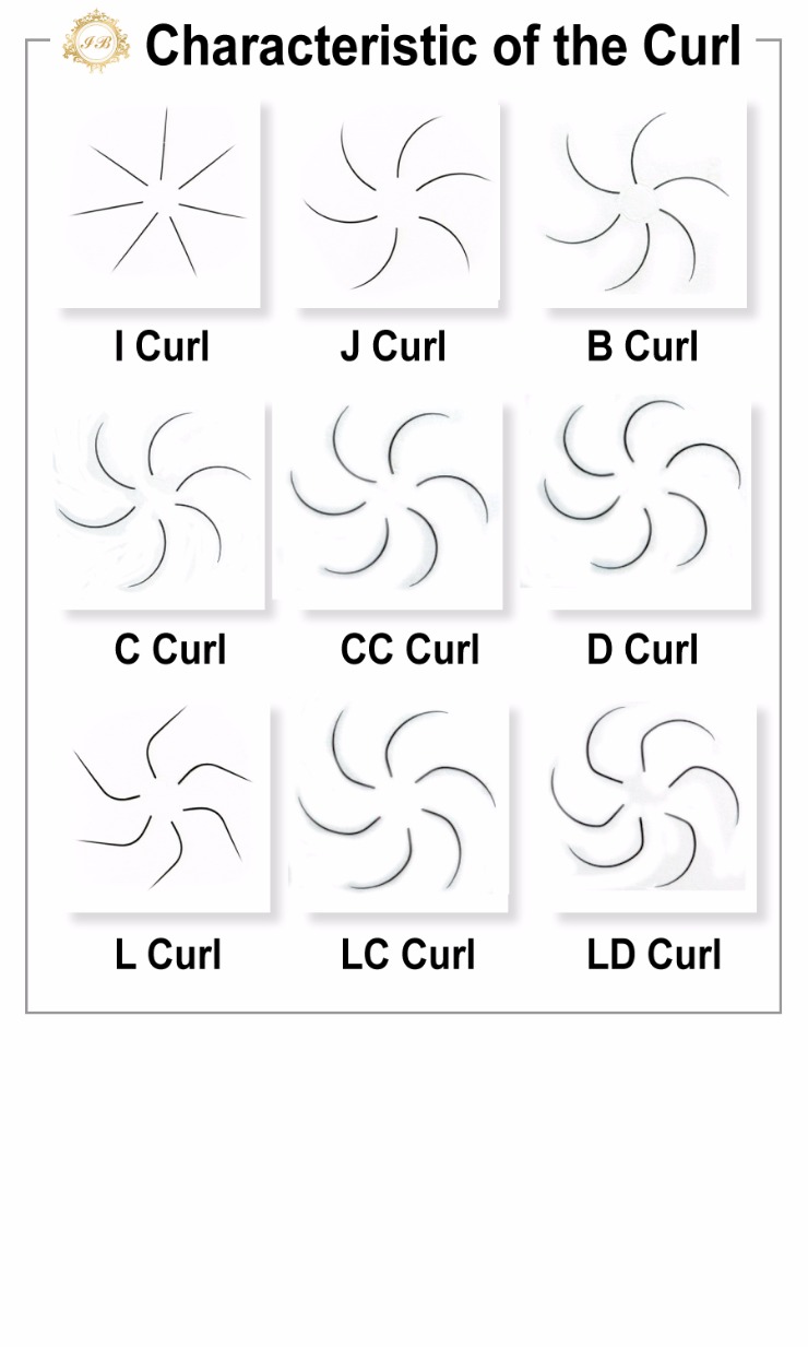 characteristic-curl-2.jpg